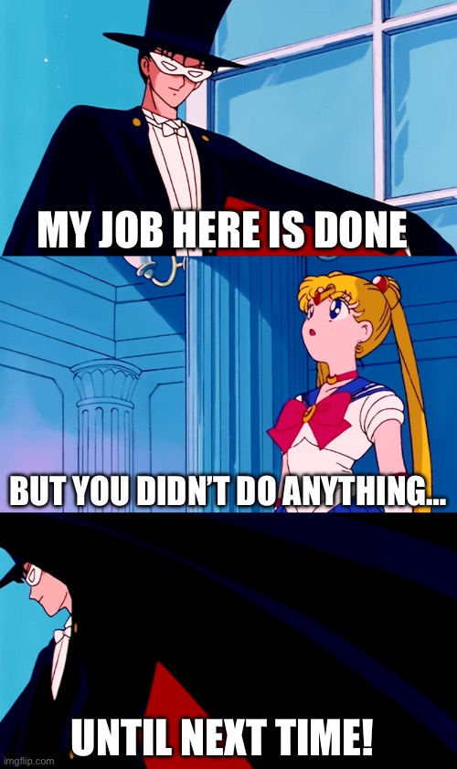 Tuxedo Mask Didn’t Do Anything | MY JOB HERE IS DONE; BUT YOU DIDN’T DO ANYTHING…; UNTIL NEXT TIME! | image tagged in sailor moon,tuxedo mask,men | made w/ Imgflip meme maker