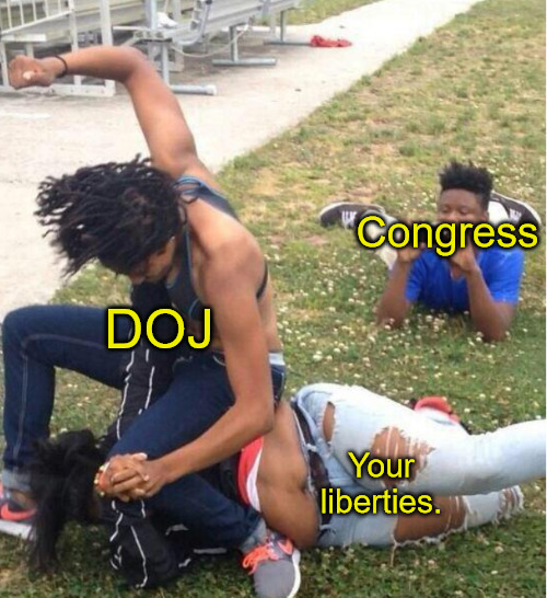 Your Liberties | Congress; DOJ; Your liberties. | image tagged in guy recording a fight | made w/ Imgflip meme maker