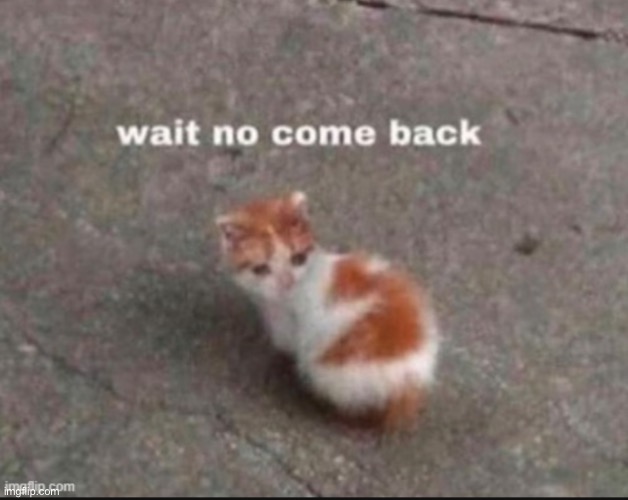 wait no come back | image tagged in wait no come back | made w/ Imgflip meme maker