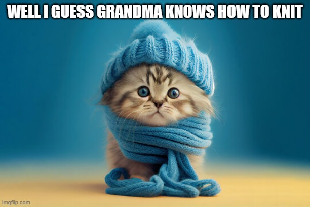 memes by Brad kitten has knitted hat | WELL I GUESS GRANDMA KNOWS HOW TO KNIT | image tagged in cats,funny,cute kittens,funny cat memes,humor,kittens | made w/ Imgflip meme maker