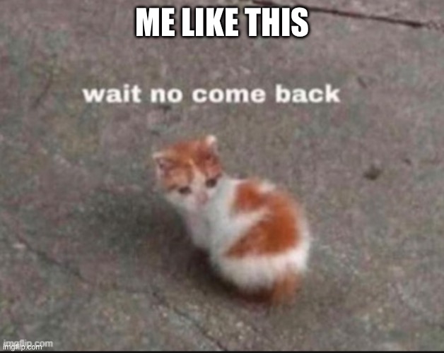 wait no come back | ME LIKE THIS | image tagged in wait no come back | made w/ Imgflip meme maker