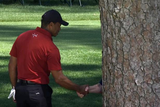 Tiger and Verne handshake Blank Meme Template