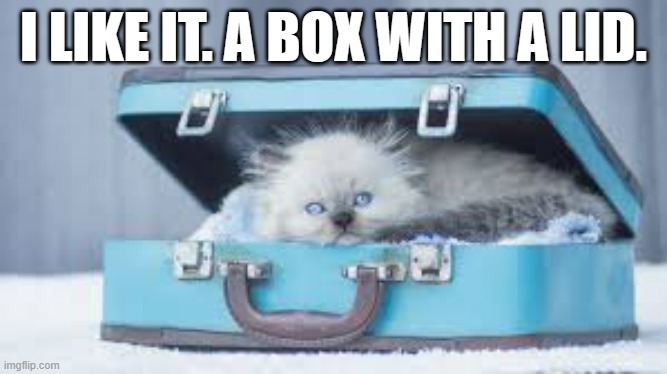 memes by Brad cat in a new bed humor | I LIKE IT. A BOX WITH A LID. | image tagged in cats,funny,funny cat memes,cute kitten,funny meme,humor | made w/ Imgflip meme maker