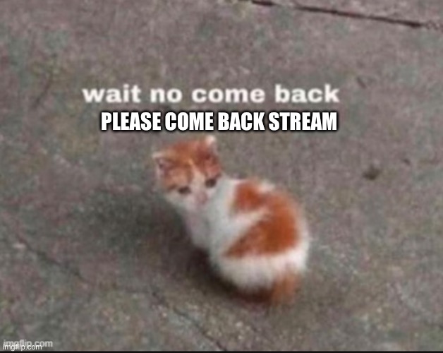 wait no come back | PLEASE COME BACK STREAM | image tagged in wait no come back | made w/ Imgflip meme maker