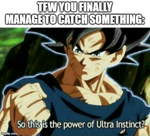 Well, I have a lotta issues catching stuff, alright? | TFW YOU FINALLY MANAGE TO CATCH SOMETHING: | image tagged in memes,funny,dragon ball | made w/ Imgflip meme maker