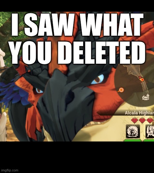 Yes | I SAW WHAT YOU DELETED | image tagged in meme,monster hunter | made w/ Imgflip meme maker
