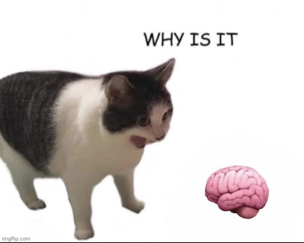 why is it | made w/ Imgflip meme maker