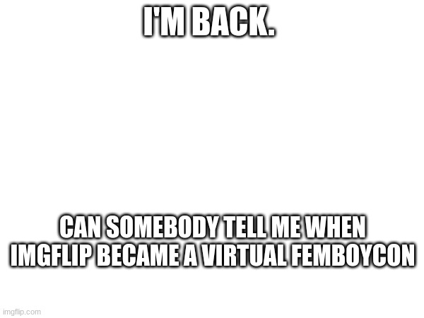 am I the only person seeing femboy stuff everywhere-? | I'M BACK. CAN SOMEBODY TELL ME WHEN IMGFLIP BECAME A VIRTUAL FEMBOYCON | image tagged in femboy | made w/ Imgflip meme maker