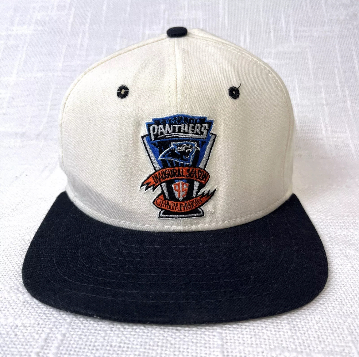 Panthers hat Blank Meme Template