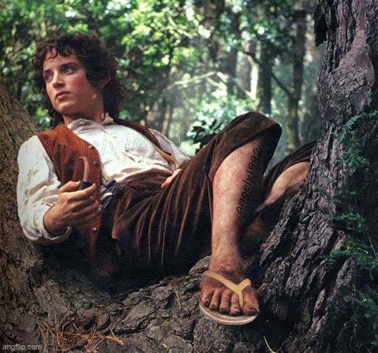 hobbit feet | image tagged in hobbit feet | made w/ Imgflip meme maker