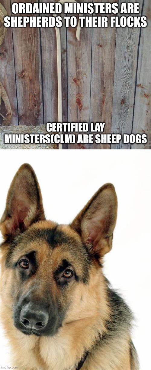 Certified Ministers are sheep dogs to the flock. | ORDAINED MINISTERS ARE SHEPHERDS TO THEIR FLOCKS; CERTIFIED LAY MINISTERS(CLM) ARE SHEEP DOGS | image tagged in shepherd | made w/ Imgflip meme maker