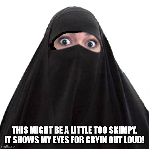 Make sure to wear eye-flaps so you are not as distracting as this woman /j | THIS MIGHT BE A LITTLE TOO SKIMPY. IT SHOWS MY EYES FOR CRYIN OUT LOUD! | image tagged in msmg | made w/ Imgflip meme maker