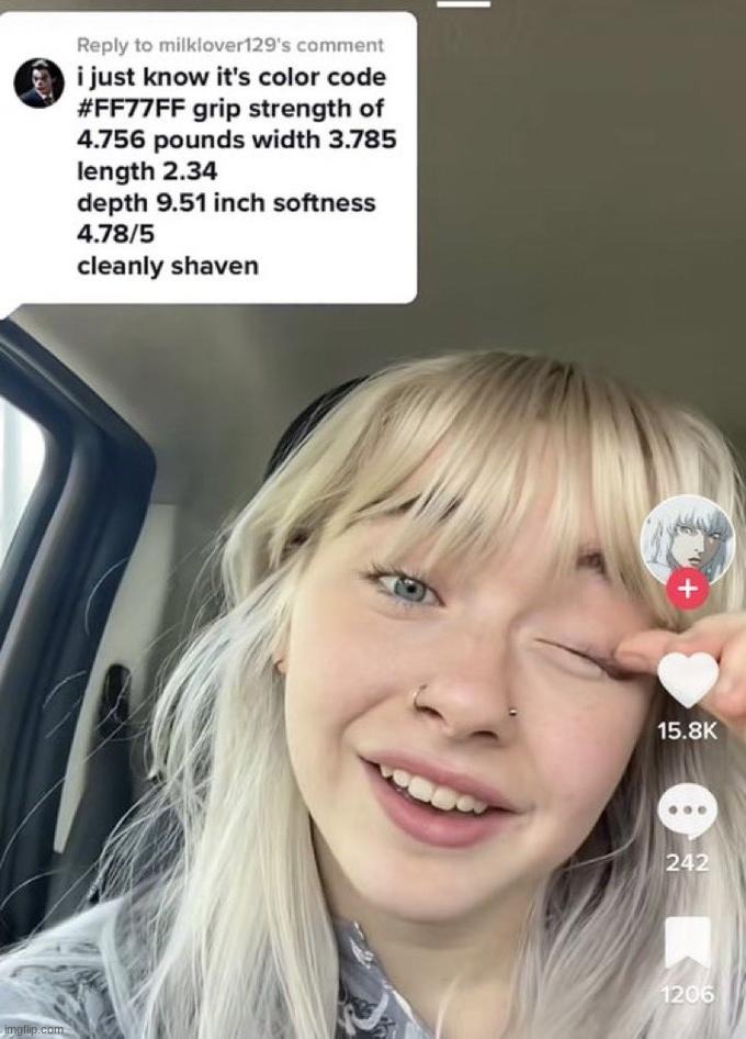 unhinged tiktok comments | made w/ Imgflip meme maker