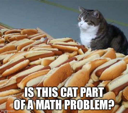 Math problem cat | IS THIS CAT PART OF A MATH PROBLEM? | image tagged in too many hot dogs,cat,cats,hot dogs,food,math | made w/ Imgflip meme maker