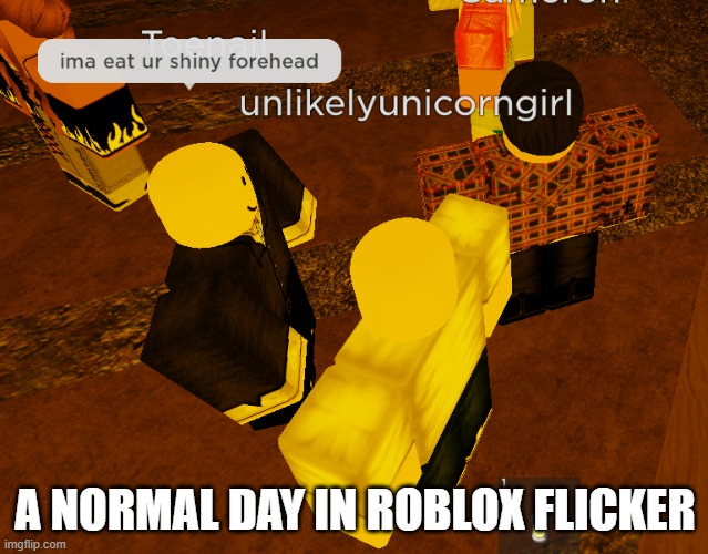 Flicker moment | A NORMAL DAY IN ROBLOX FLICKER | image tagged in flicker | made w/ Imgflip meme maker