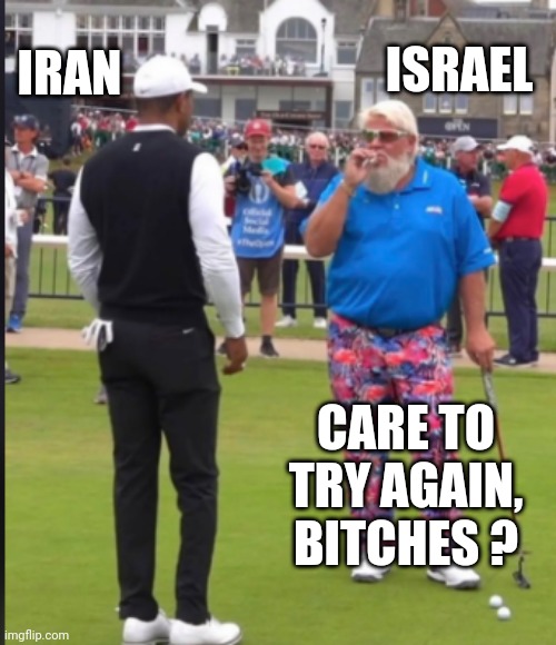 Send in da drones | ISRAEL; IRAN; CARE TO
 TRY AGAIN, 
BITCHES ? | image tagged in leftism,iran | made w/ Imgflip meme maker