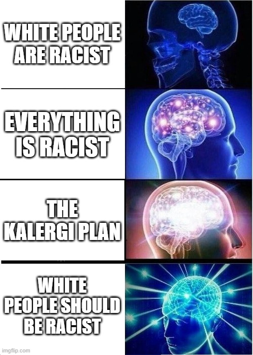 you're not being racist enough! | WHITE PEOPLE ARE RACIST; EVERYTHING IS RACIST; THE KALERGI PLAN; WHITE PEOPLE SHOULD BE RACIST | image tagged in memes,expanding brain | made w/ Imgflip meme maker