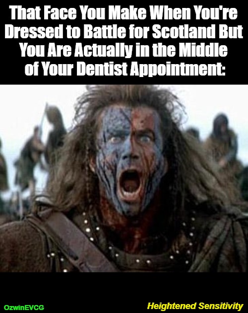 Heightened Sensitivity [NV] | That Face You Make When You're 

Dressed to Battle for Scotland But 

You Are Actually in the Middle 

of Your Dentist Appointment:; Heightened Sensitivity; OzwinEVCG | image tagged in dress for success,braveheart,ouch,dentist,time travel,silly | made w/ Imgflip meme maker