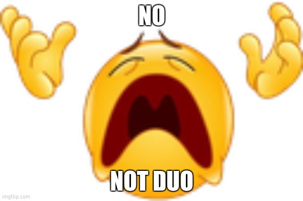 whyyyy | NO NOT DUO | image tagged in whyyyy | made w/ Imgflip meme maker