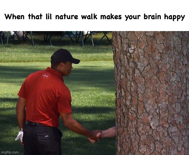 Tiger Woods Masters Handshake | When that lil nature walk makes your brain happy | image tagged in nature,tiger woods,augusta,the masters | made w/ Imgflip meme maker