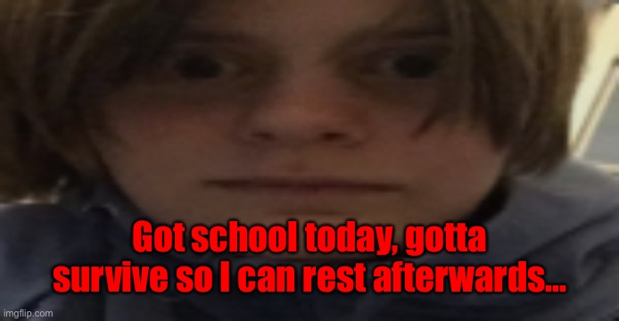 My school is like 20 or 25 minutes away from home | Got school today, gotta survive so I can rest afterwards... | image tagged in darthswede silly serious face | made w/ Imgflip meme maker