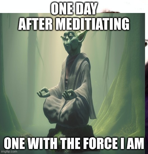 meditation | ONE DAY AFTER MEDITIATING; ONE WITH THE FORCE I AM | image tagged in star wars yoda | made w/ Imgflip meme maker