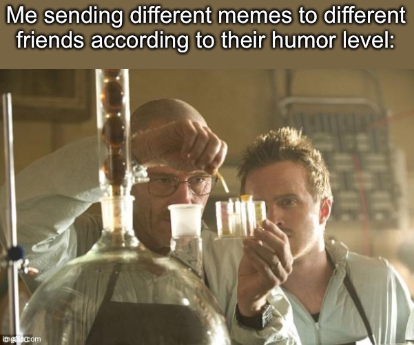 It’s science | Me sending different memes to different friends according to their humor level: | image tagged in walt chemistry,memes,humour | made w/ Imgflip meme maker