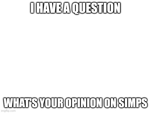 I HAVE A QUESTION; WHAT'S YOUR OPINION ON SIMPS | made w/ Imgflip meme maker