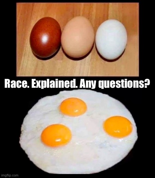 Race explained. | Race. Explained. Any questions? | made w/ Imgflip meme maker