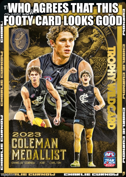 I like AFL | WHO AGREES THAT THIS FOOTY CARD LOOKS GOOD | image tagged in memes,afl,carlton,australia | made w/ Imgflip meme maker