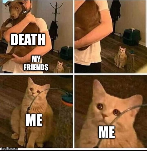 man holding dog but cat is sad | DEATH; MY FRIENDS; ME; ME | image tagged in man holding dog but cat is sad | made w/ Imgflip meme maker