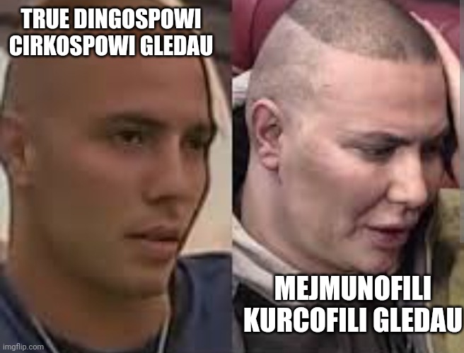 TRUE DINGOSPOWI CIRKOSPOWI GLEDAU; MEJMUNOFILI KURCOFILI GLEDAU | made w/ Imgflip meme maker
