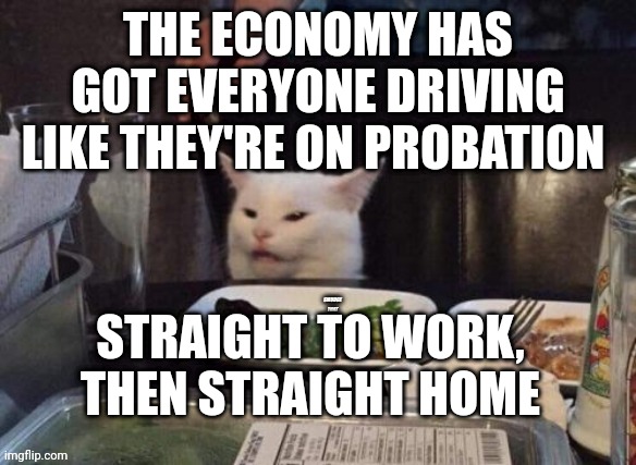 Smudge that darn cat | THE ECONOMY HAS GOT EVERYONE DRIVING LIKE THEY'RE ON PROBATION; STRAIGHT TO WORK, THEN STRAIGHT HOME | image tagged in smudge that darn cat | made w/ Imgflip meme maker