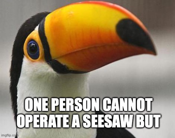 2CAN | ONE PERSON CANNOT OPERATE A SEESAW BUT | image tagged in toucan seesaw | made w/ Imgflip meme maker