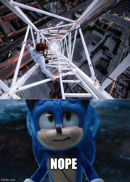Sonic the Hedgehog | NOPE | image tagged in gittersteigen,lattice climbing,sonic the hedgehog,klettern,meme,template | made w/ Imgflip meme maker