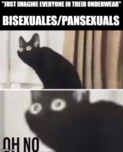 Popped in my head lmao | "JUST IMAGINE EVERYONE IN THEIR UNDERWEAR"; BISEXUALES/PANSEXUALS | image tagged in oh no cat | made w/ Imgflip meme maker