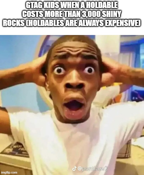 Shocked black guy | GTAG KIDS WHEN A HOLDABLE COSTS MORE THAN 3,000 SHINY ROCKS (HOLDABLES ARE ALWAYS EXPENSIVE) | image tagged in shocked black guy | made w/ Imgflip meme maker