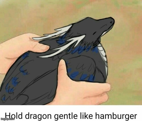 Hold dragon gentle like hamburger | image tagged in hold dragon gentle like hamburger | made w/ Imgflip meme maker