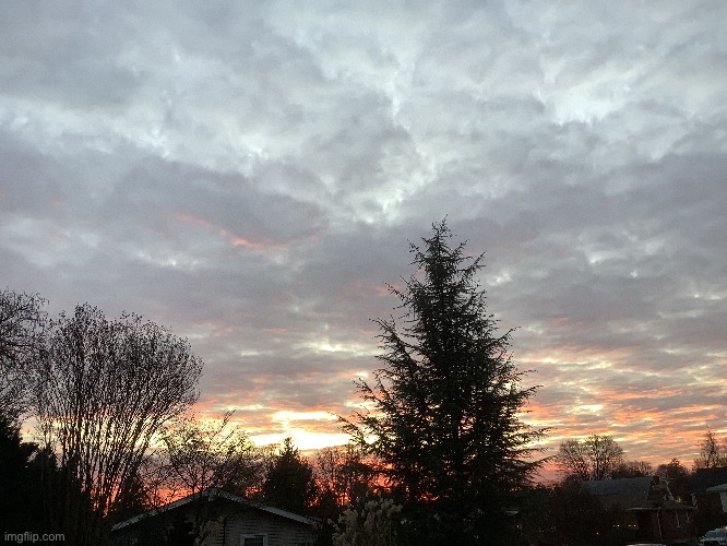 pretty sunset | image tagged in share your photos,tree,good pic,sunset | made w/ Imgflip meme maker