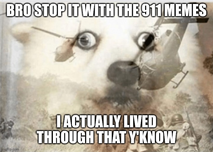 PTSD dog | BRO STOP IT WITH THE 911 MEMES I ACTUALLY LIVED THROUGH THAT Y'KNOW | image tagged in ptsd dog | made w/ Imgflip meme maker