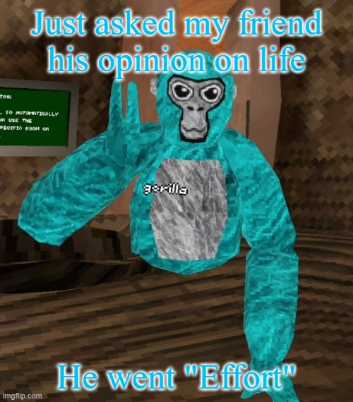 Monkey | Just asked my friend his opinion on life; He went "Effort" | image tagged in monkey | made w/ Imgflip meme maker