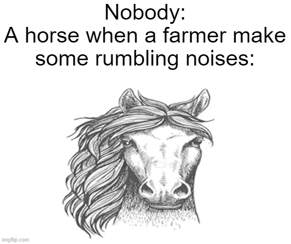 Man, I'm so hungry I could eat- | Nobody:
A horse when a farmer make some rumbling noises: | image tagged in horse | made w/ Imgflip meme maker