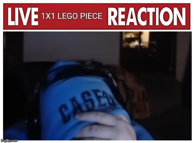 Live 1x1 LEGO piece Reaction | image tagged in live 1x1 lego piece reaction | made w/ Imgflip meme maker