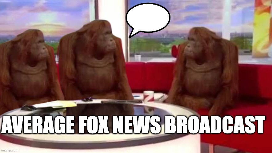where monkey | AVERAGE FOX NEWS BROADCAST | image tagged in where monkey,news,fox news,monkey,so true memes | made w/ Imgflip meme maker