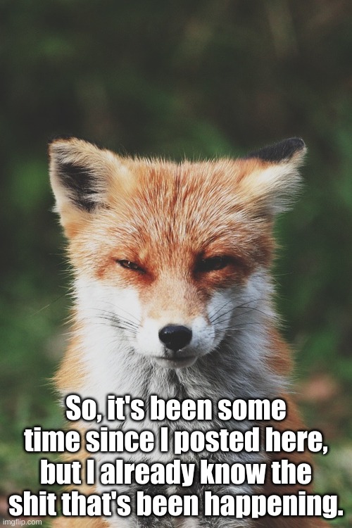 blep | So, it's been some time since I posted here, but I already know the shit that's been happening. | image tagged in fox staring | made w/ Imgflip meme maker