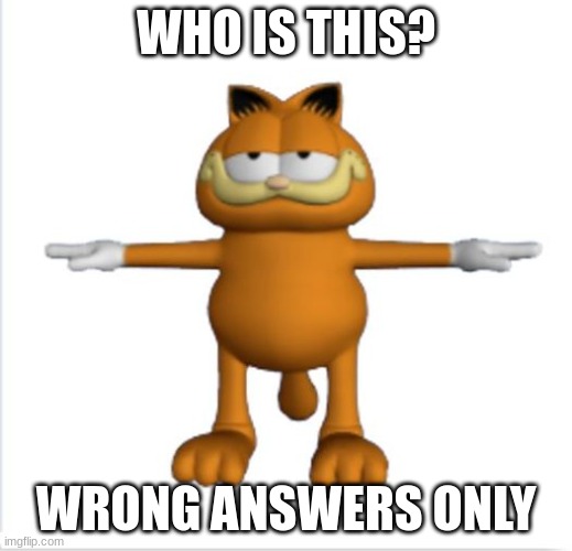 who is it? | WHO IS THIS? WRONG ANSWERS ONLY | image tagged in garfield t-pose,who is this | made w/ Imgflip meme maker