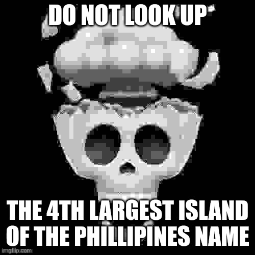 WORST MISTAKE OF MY DAY | DO NOT LOOK UP; THE 4TH LARGEST ISLAND OF THE PHILLIPINES NAME | image tagged in man i'm dead | made w/ Imgflip meme maker