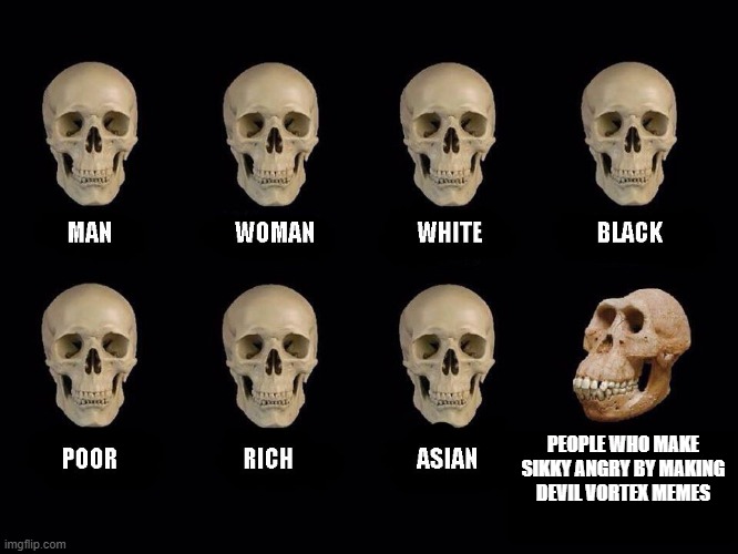 empty skulls of truth | PEOPLE WHO MAKE SIKKY ANGRY BY MAKING DEVIL VORTEX MEMES | image tagged in empty skulls of truth | made w/ Imgflip meme maker