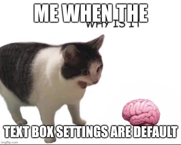 WHY IS IT EMPTY? | ME WHEN THE; TEXT BOX SETTINGS ARE DEFAULT | image tagged in why is it empty | made w/ Imgflip meme maker