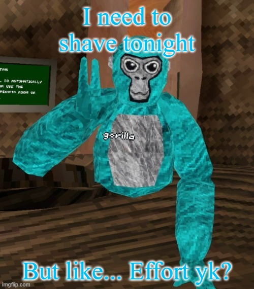Monkey | I need to shave tonight; But like... Effort yk? | image tagged in monkey | made w/ Imgflip meme maker